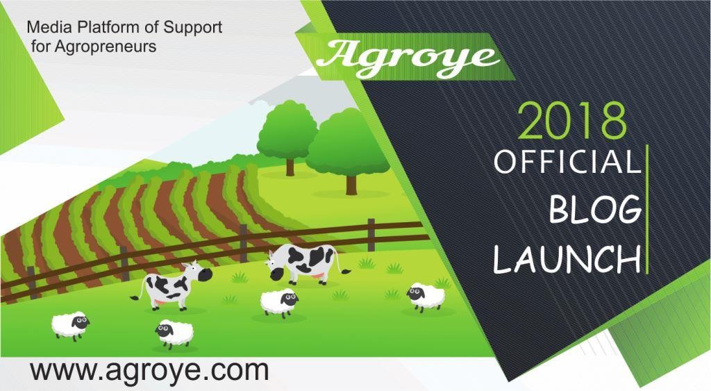 Launching Agroye